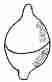 Operculum - Hemispherical Apiculate
